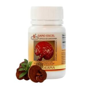 Capsulas ganoderma x90
